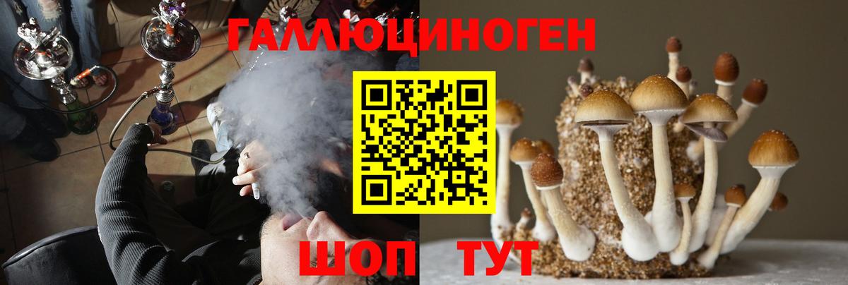 Знаменск  Псилоцибиновые грибы Cubensis  как найти   Вход с VPN 